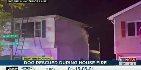 Fire causes extensive damage, dog rescued